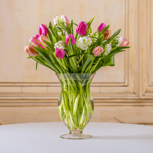 Fuente de Inspiración