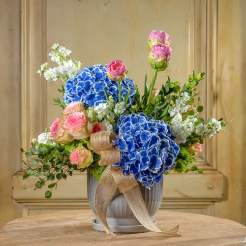 Brisa de Primavera